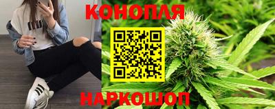 стаф Славянск-на-Кубани