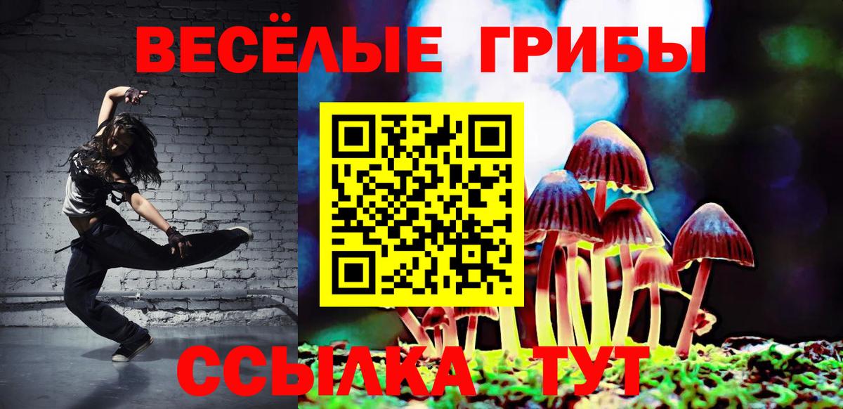 Павловский Посад  Псилоцибиновые грибы мицелий  Вход с VPN 