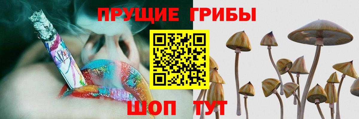 Псилоцибиновые грибы Psilocybe Павловский Посад